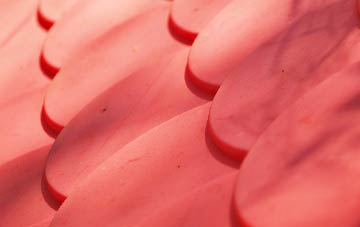 Forkill plastic roof costs