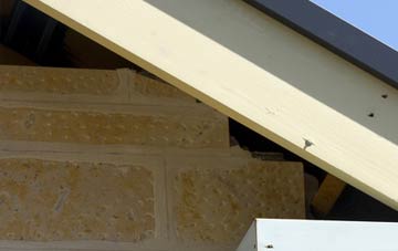 soffit repair Forkill
