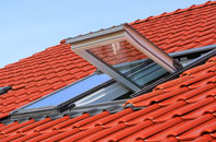 Forkill roof window